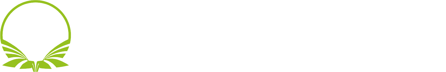 Team Singularity